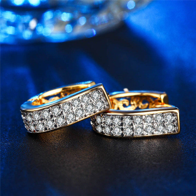 Zircon hoop earrings new arrivals