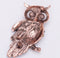 Retro Crystal Owl Brooch for Suit Dresses Sarees Clothing - 2 Colors - [neshe.in]