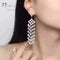 Luxury AAA Clear CZ Crystal Tassel Wedding Party Earrings