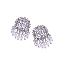 Trendy Crystal Flower & White Pearls Stud Earrings - [neshe.in]